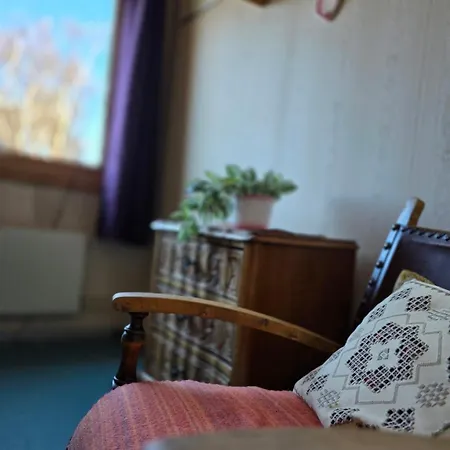 펜션 Cozy And Charming Family 10 Minutes From Everything