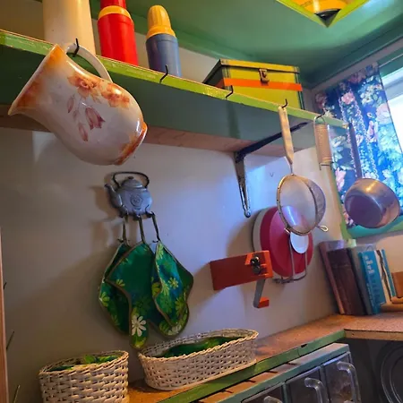 펜션 Cozy And Charming Family 10 Minutes From Everything *