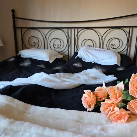 Cozy And Charming Family 10 Minutes From Everything Feriehus *